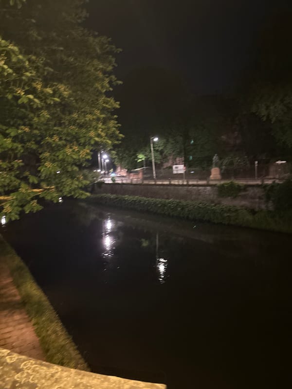 Nighttime tour of illuminated Strasbourg landmarks and waterways documented