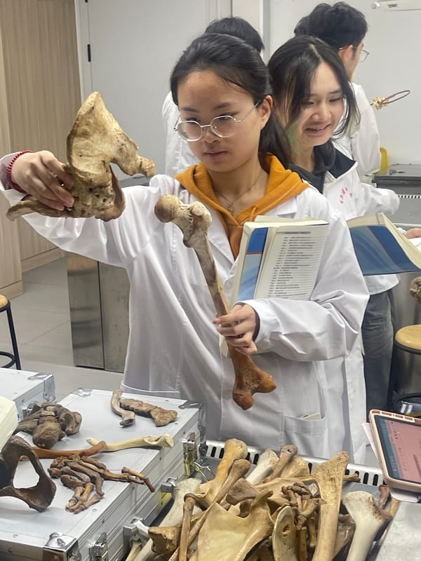 Medical students conduct anatomy classes in Chongqing laboratory