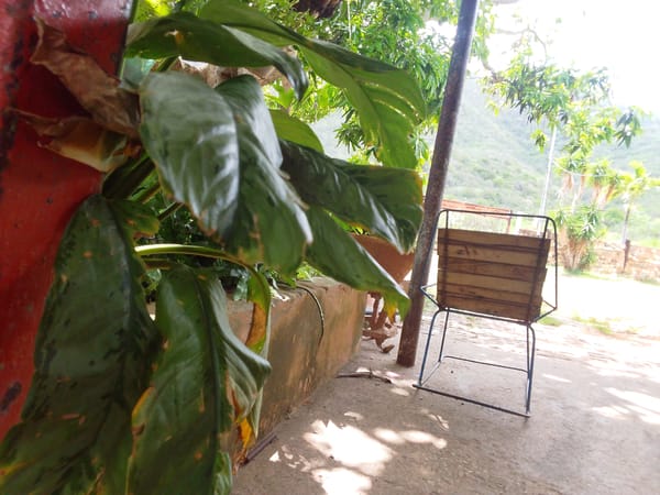 Afternoon light through a weathered hillside home in Guayacán