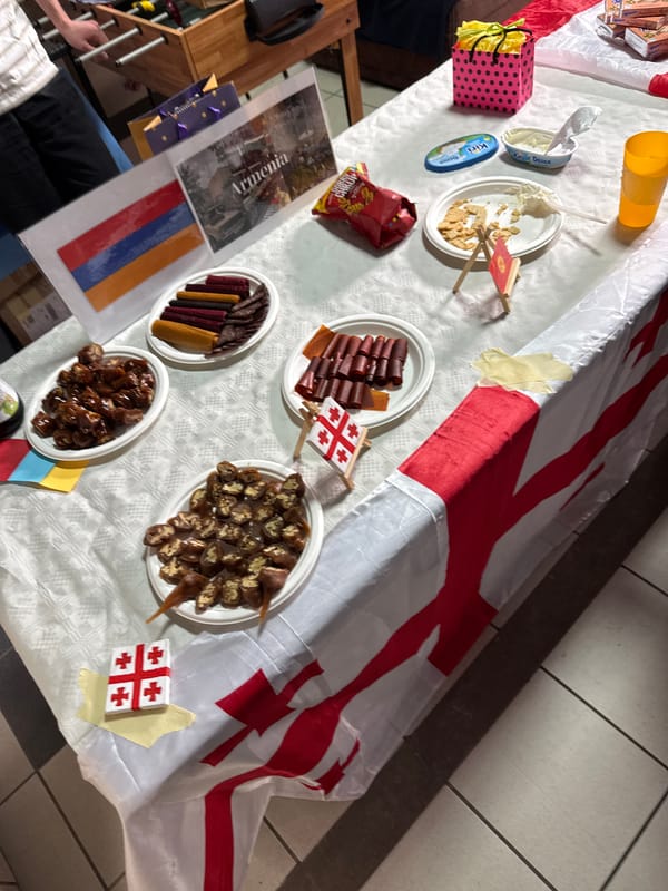Multicultural food gathering features international flags in Opole, Poland