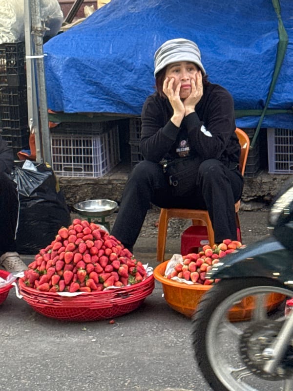 Morning market life documented across Da Lat Vietnam