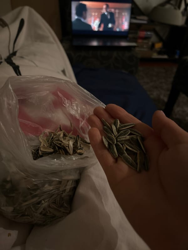 Leisurely afternoon moments captured around Budva's seaside and streets