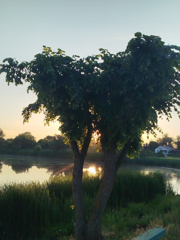 Dawn lakeside scenes documented across Ustyvytsia Ukraine countryside