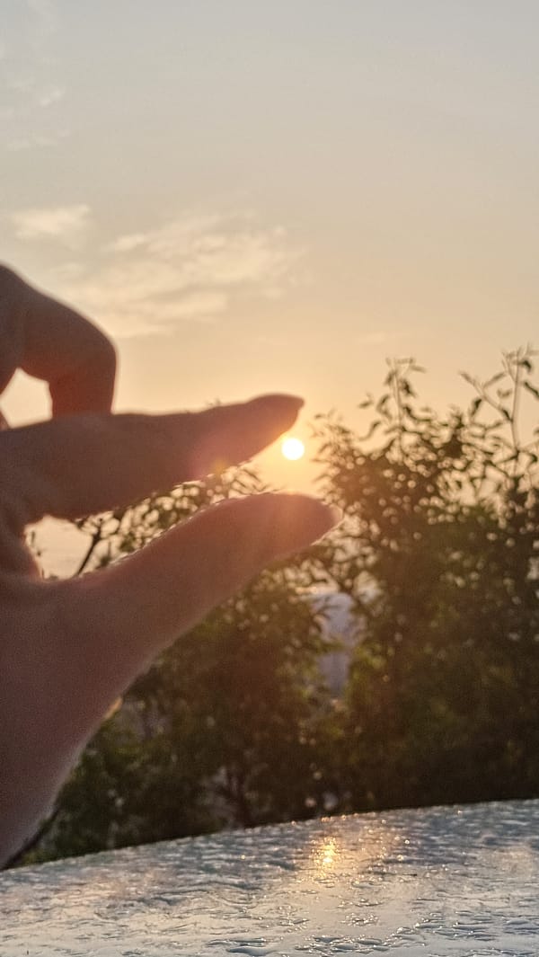 Golden hour moments with dog, flowers captured in rural South Korea