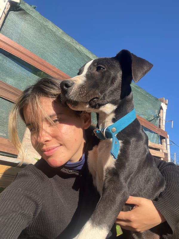 Person and dog share affectionate moment in Sumalao, Argentina