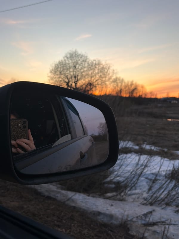 Twilight landscapes and smartphone reflection captured in Foteni, Russia