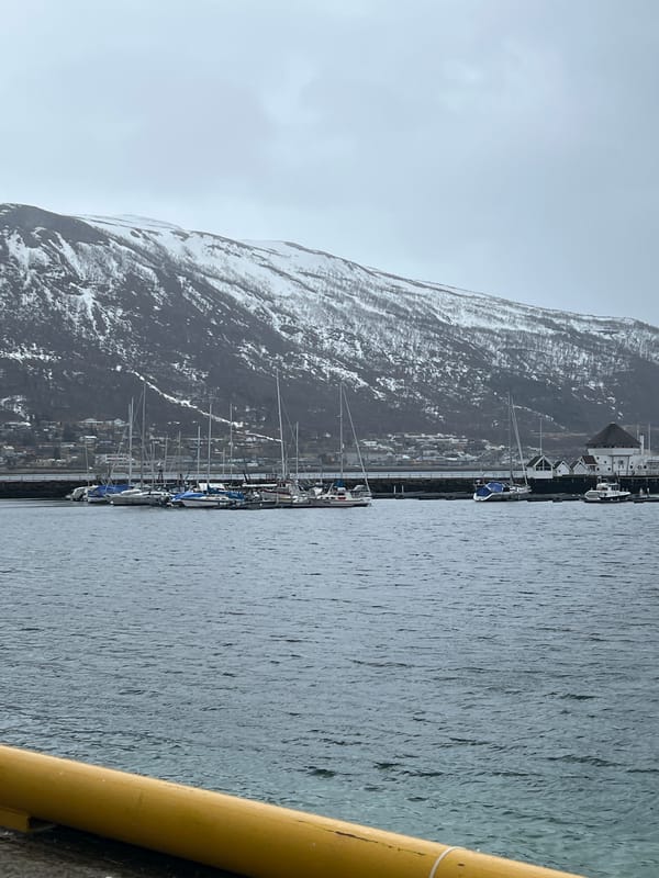 Witness documents overcast harbor scenes in Tromsø, Norway