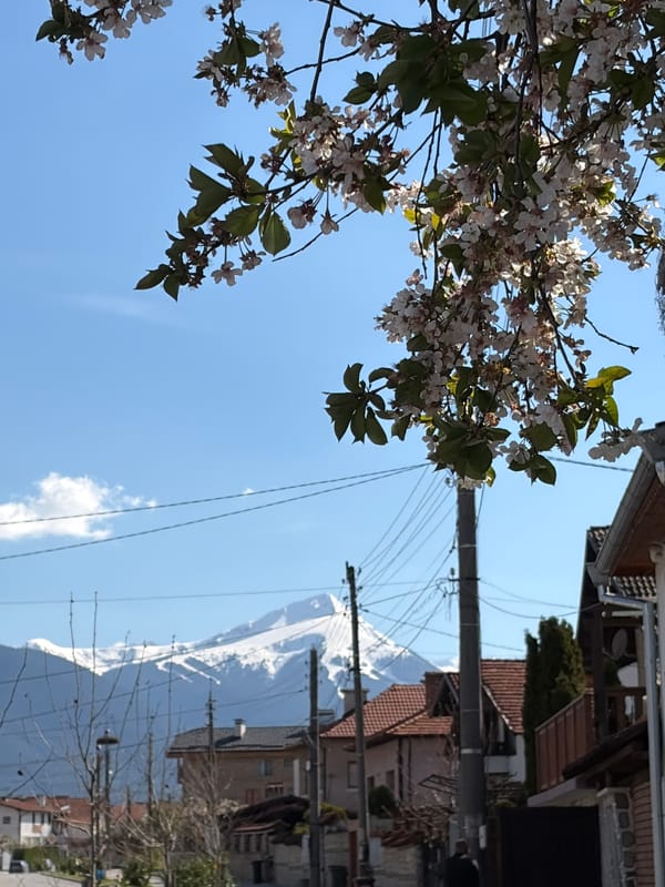 Ordinary moments captured: mountain vista, child playing, daytime moon