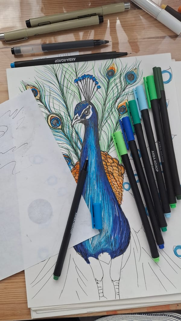 Artist creates detailed peacock drawing in Kempelevo, Russia