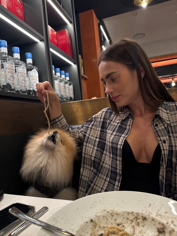 Woman documents dining experience across multiple Verona restaurants