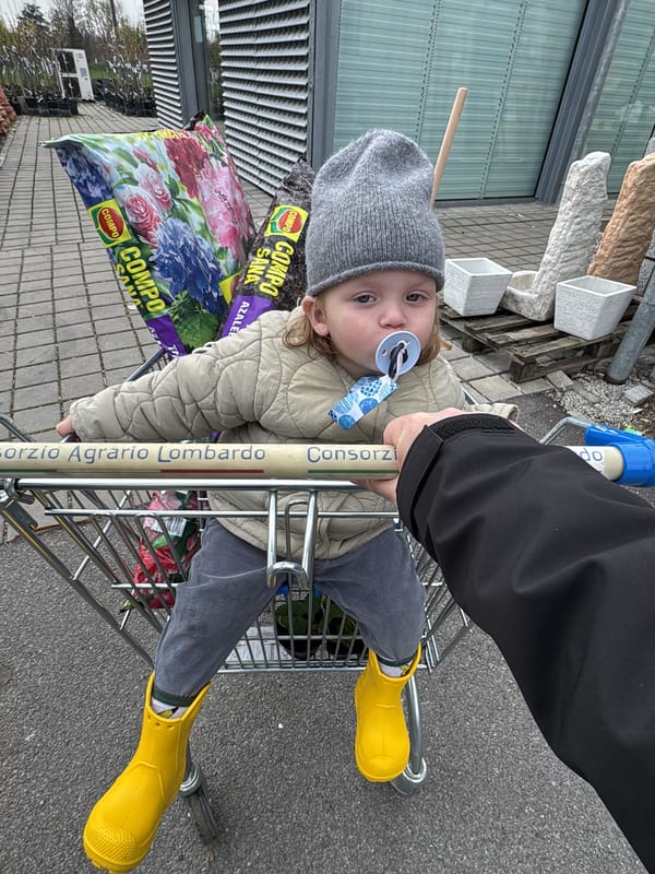 Toddler spotted in shopping cart at Italian agricultural facility