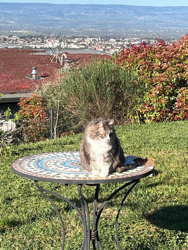 Woman photographed during early morning hours in Chambœuf, France