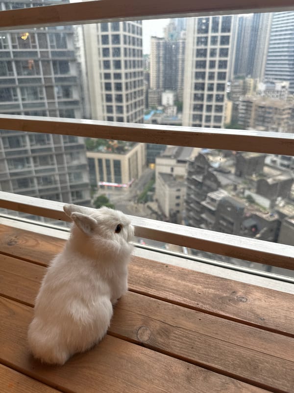 Interior scenes with city views documented in Yuzhong District
