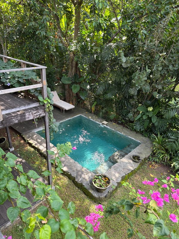 Traditional Javanese architecture and gardens documented in Kediri, Indonesia