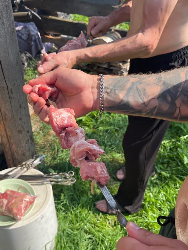 Backyard shashlik prep in Chaikovsky, with dogs and beetles nearby