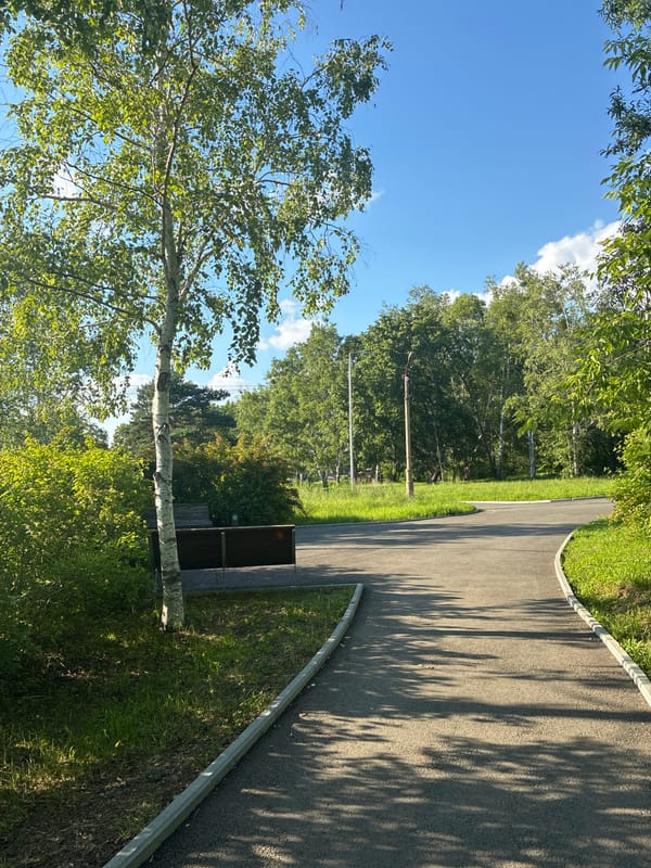 Sunny morning at a park in Gornye Kljuchi, Russia