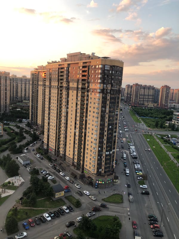 Sunset city views and cats relaxing indoors