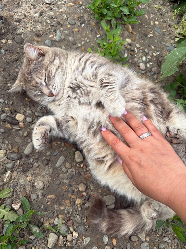 Person documents casual pet interactions in Russian countryside garden