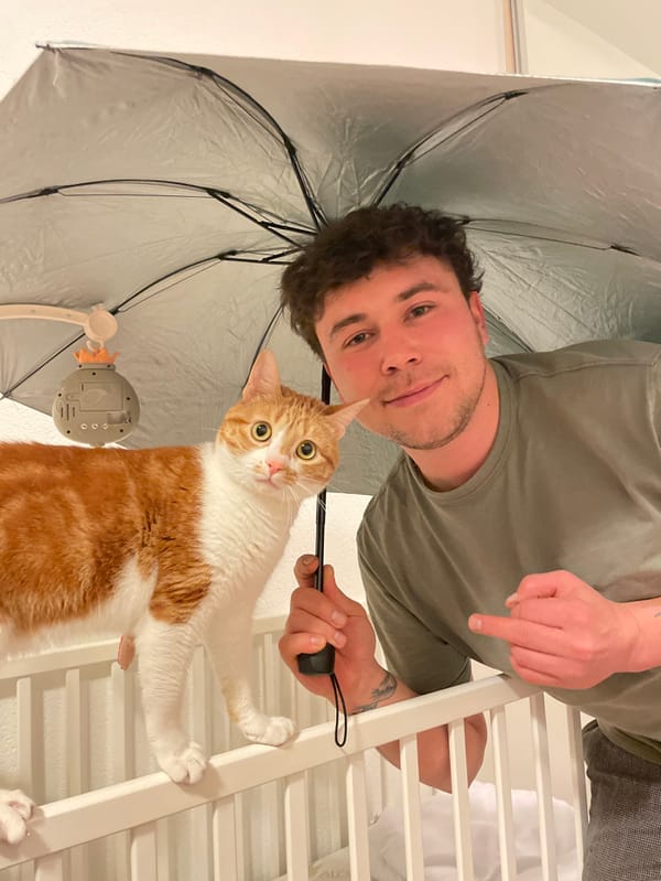 Cat photography session with props captured in Bar, Montenegro