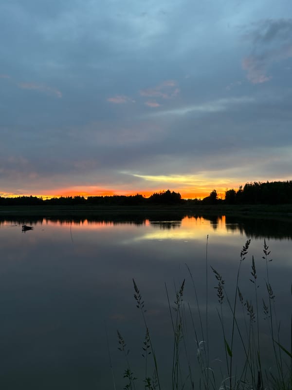 Sunset over water and grass in Pankovka, Russia
