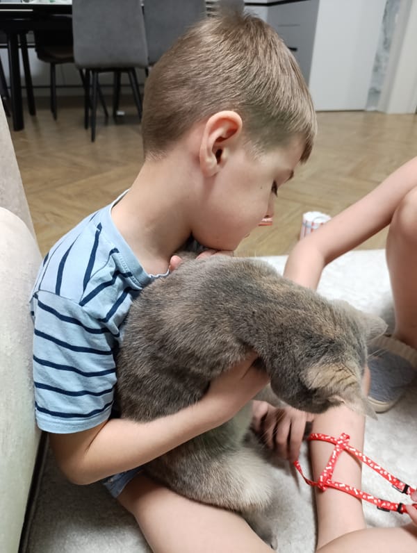 Family and pet cat spend quiet afternoon together indoors