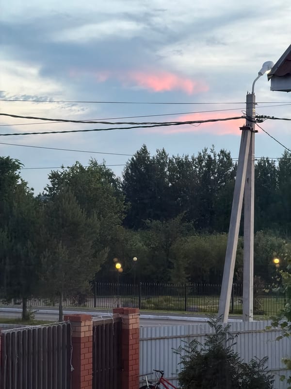 Twilight scenes and cat moments in Шмидтово, Russia