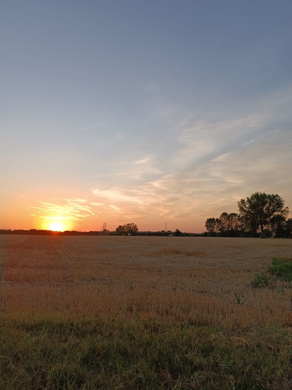 Sunset over harvested fields near Viadana, Italy