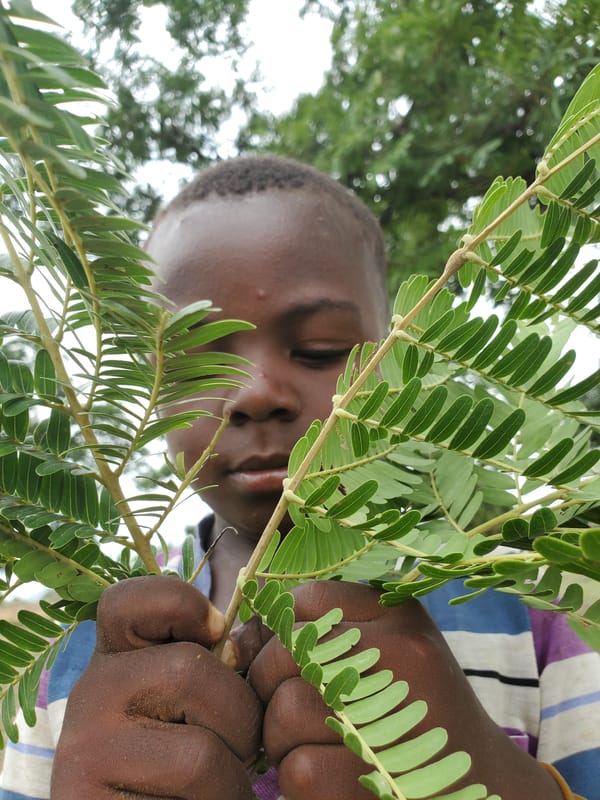 Child explores nature in rural Mararaba, Nigeria morning