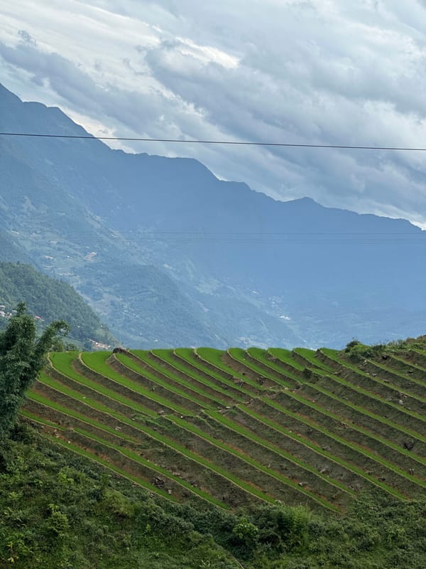 Rural life documented in Ban Ho terraced fields, mountain paths