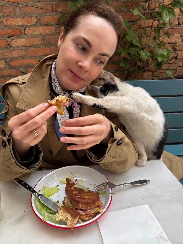 Woman shares breakfast with cat at Tbilisi cafe