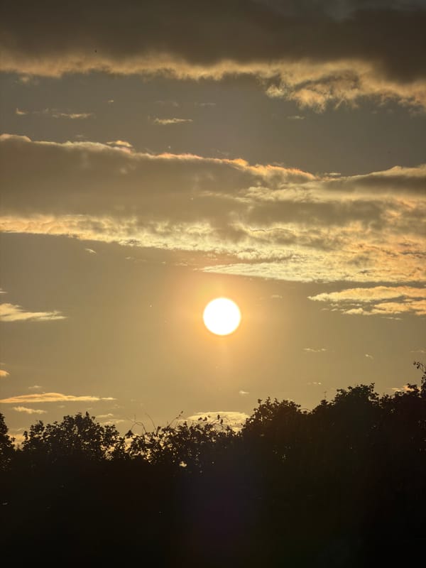 Evening sunset documented over Esch-sur-Alzette, Luxembourg with local wildlife