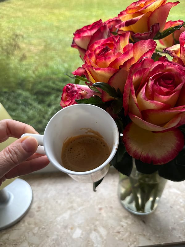 French bulldog and morning coffee, Bad Sachsa bedroom