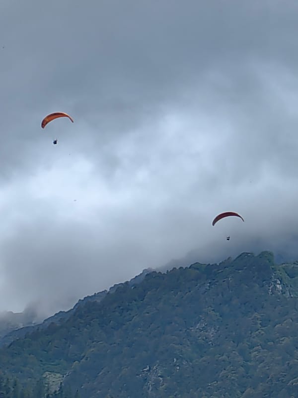 Paragliders over Solang Valley's forested mountain slopes
