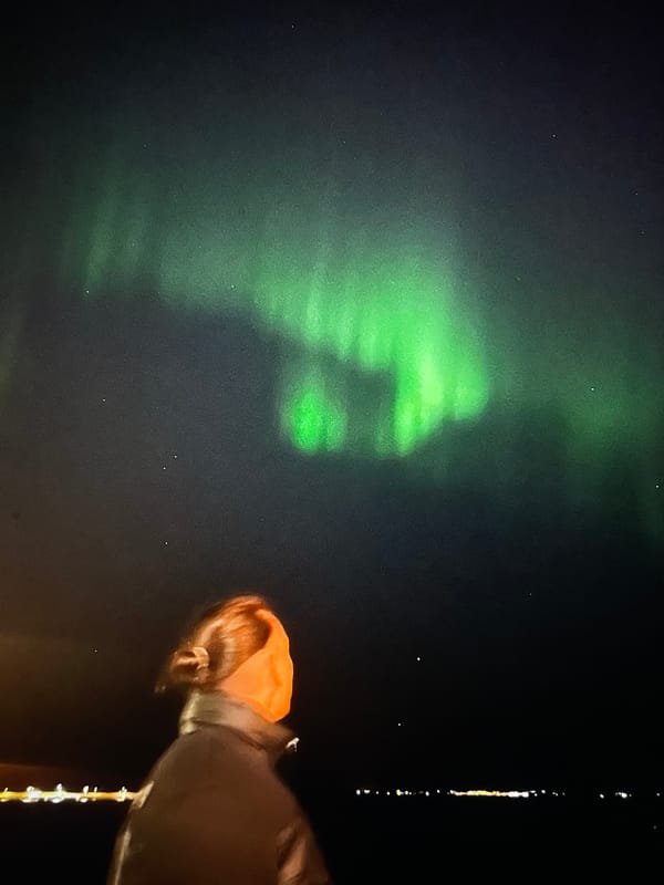 Aurora viewer captured observing green northern lights display