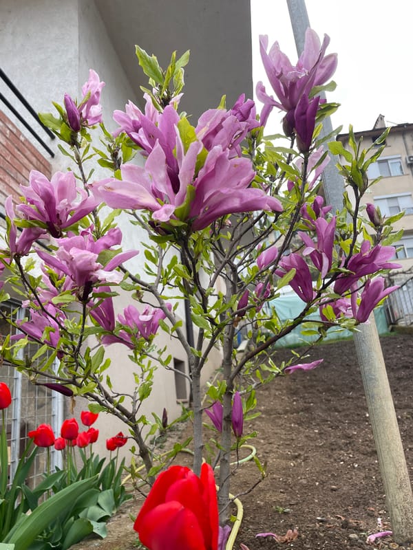 Spring day captured in scenic Bulgarian town Zlatograd