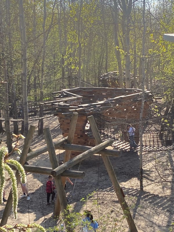 Families enjoy sunny afternoon at Kazan park playground
