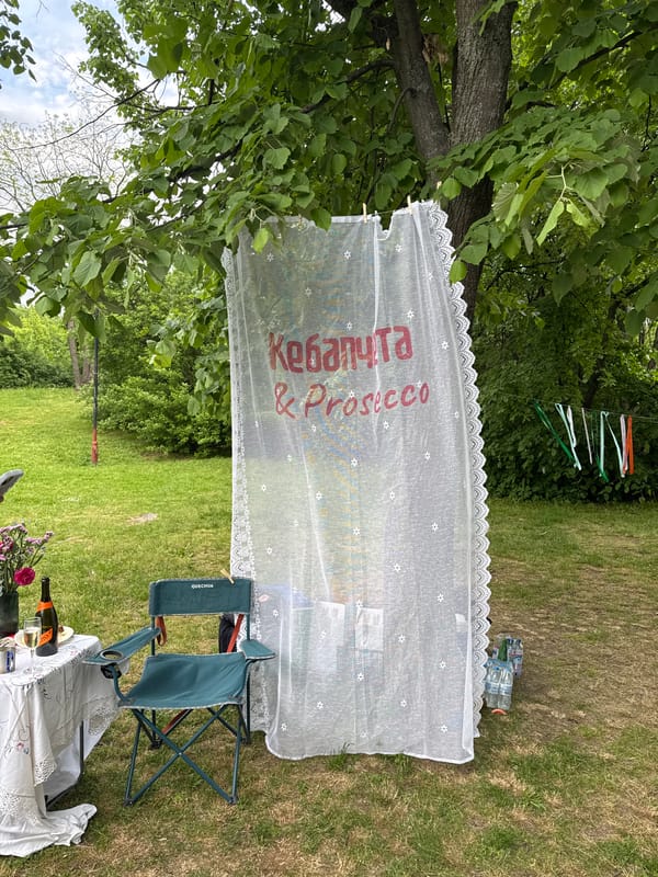 Park picnic gathering features prosecco, conversation, and golden retriever