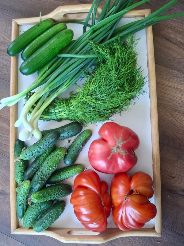 Fresh market haul, peony bouquets, and home cooking in Ogre