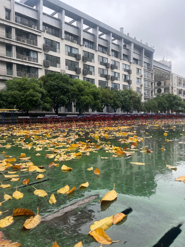 Early morning rain leaves Yuzhong District wet, overcast