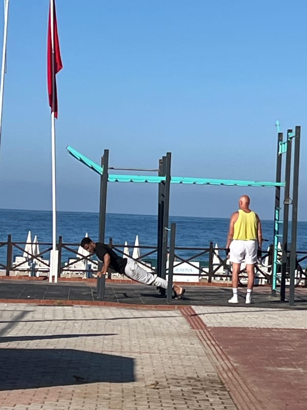 Morning street cats spotted across Alanya sidewalks and patios