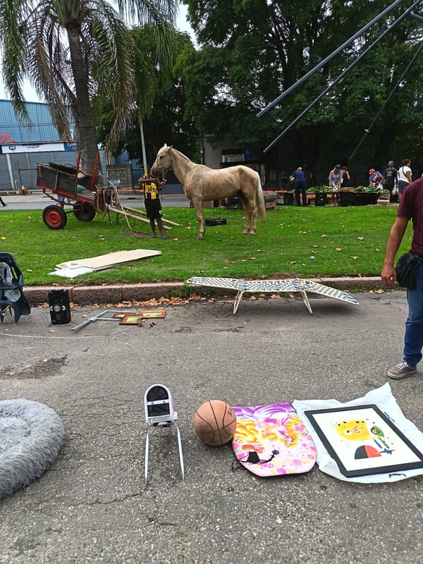 Personal items scattered on Montevideo street