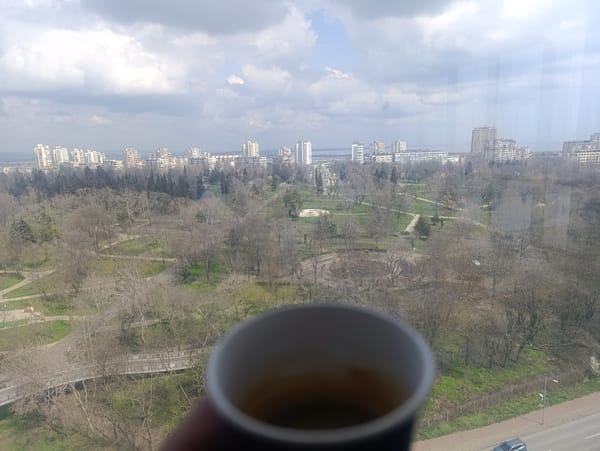 Morning coffee view overlooks Burgas city park from window