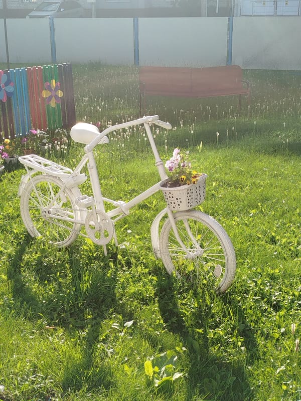 Everyday summer moments from a small Siberian town