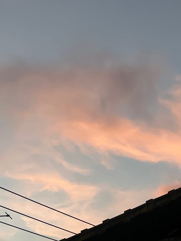 Tourist documents evening scenes around Sukawati, Indonesia