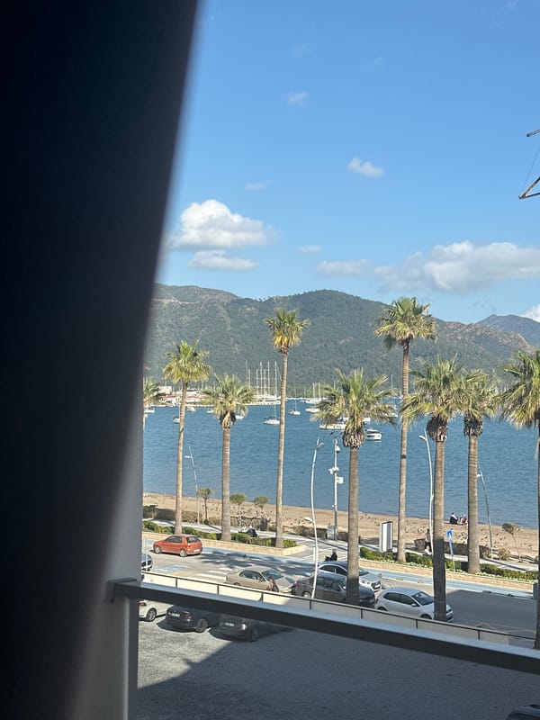 Elevated view captured of Marmaris coastline with palm trees