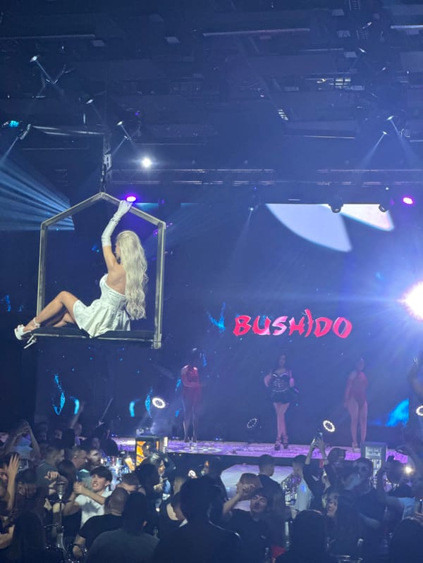 Aerial singer Lidia performs suspended act at Plovdiv nightclub