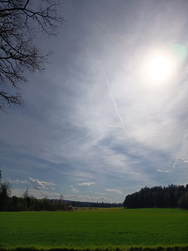 Nature walk documented through Swiss forests near Neuendorf
