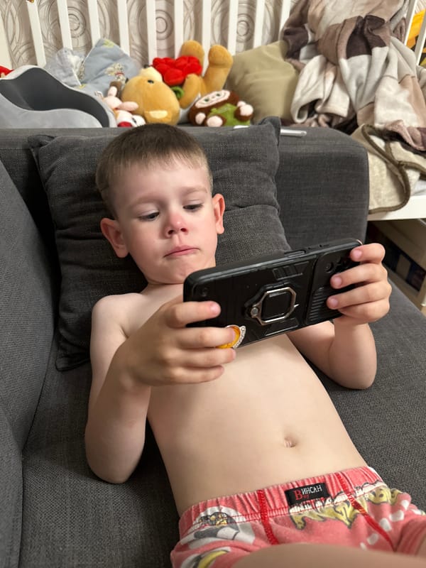 Family life documented in Novoaltaysk includes child care, pet turtle