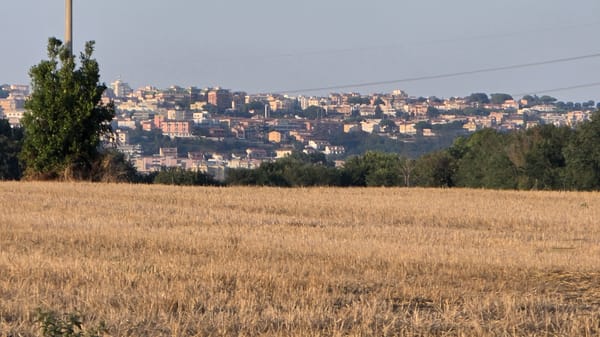 Golden wheat fields frame Tarquinia's sun-bleached hilltop skyline