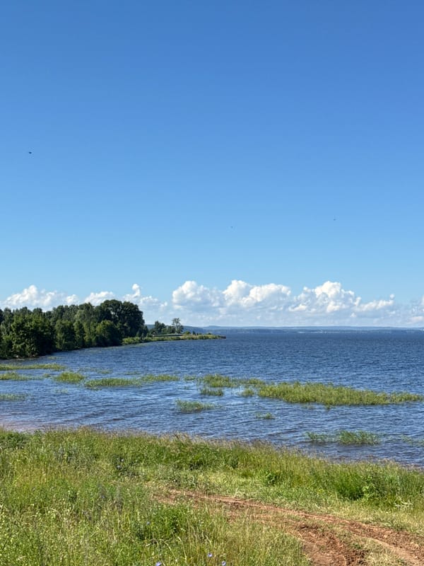 Sunny lakeside stop in Kryukovo with striking two-tone water